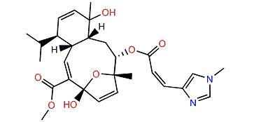 Sarcodictyin F